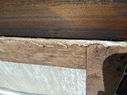 Peinture à l'huile 19ème siècle lapin avec toile signée PIRRELLI et cadre doré élégant