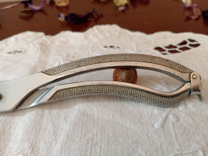 Ciseau ancien volaille années 60 – Ustensile de cuisine vintage authentique