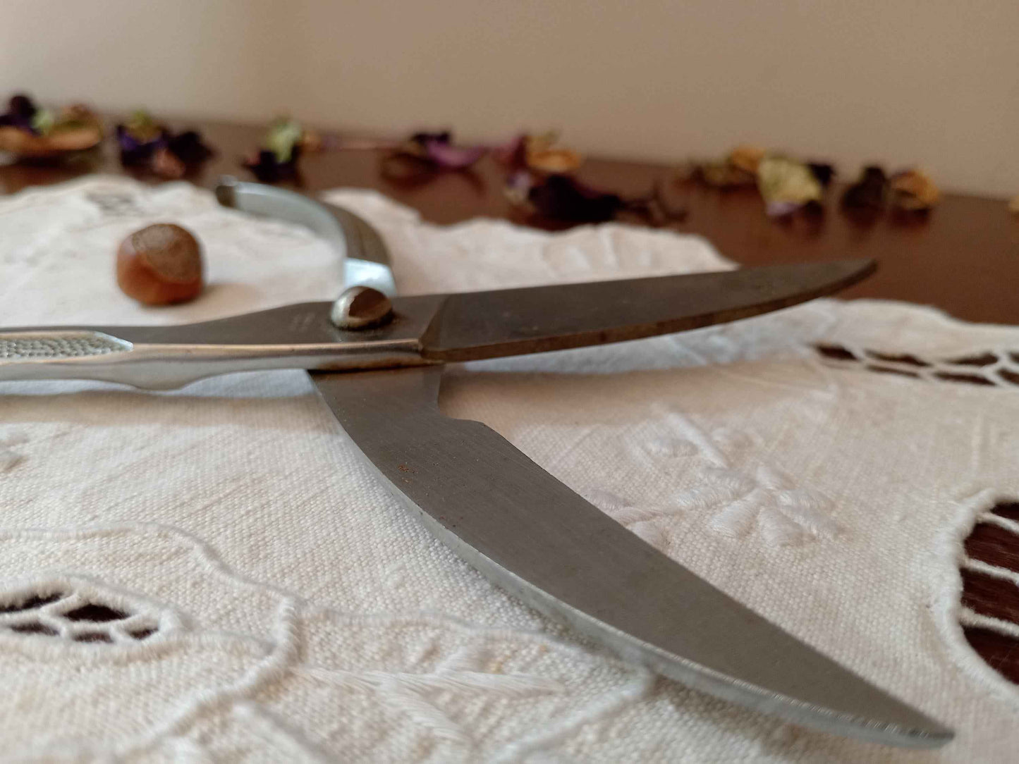 Ciseau ancien volaille années 60 – Ustensile de cuisine vintage authentique