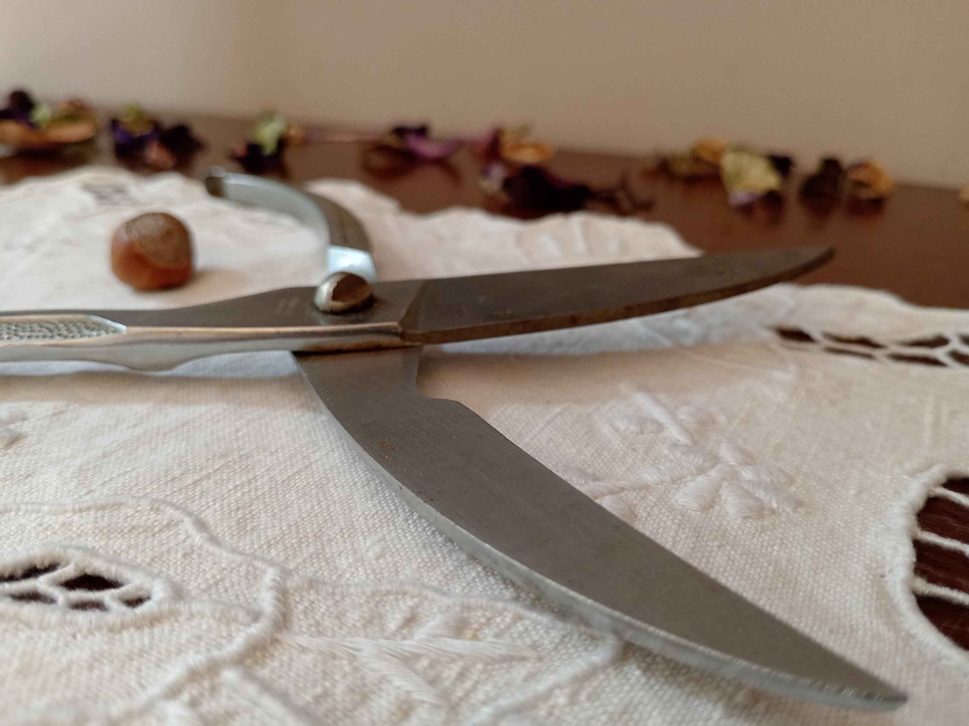 Ciseau ancien volaille années 60 – Ustensile de cuisine vintage authentique