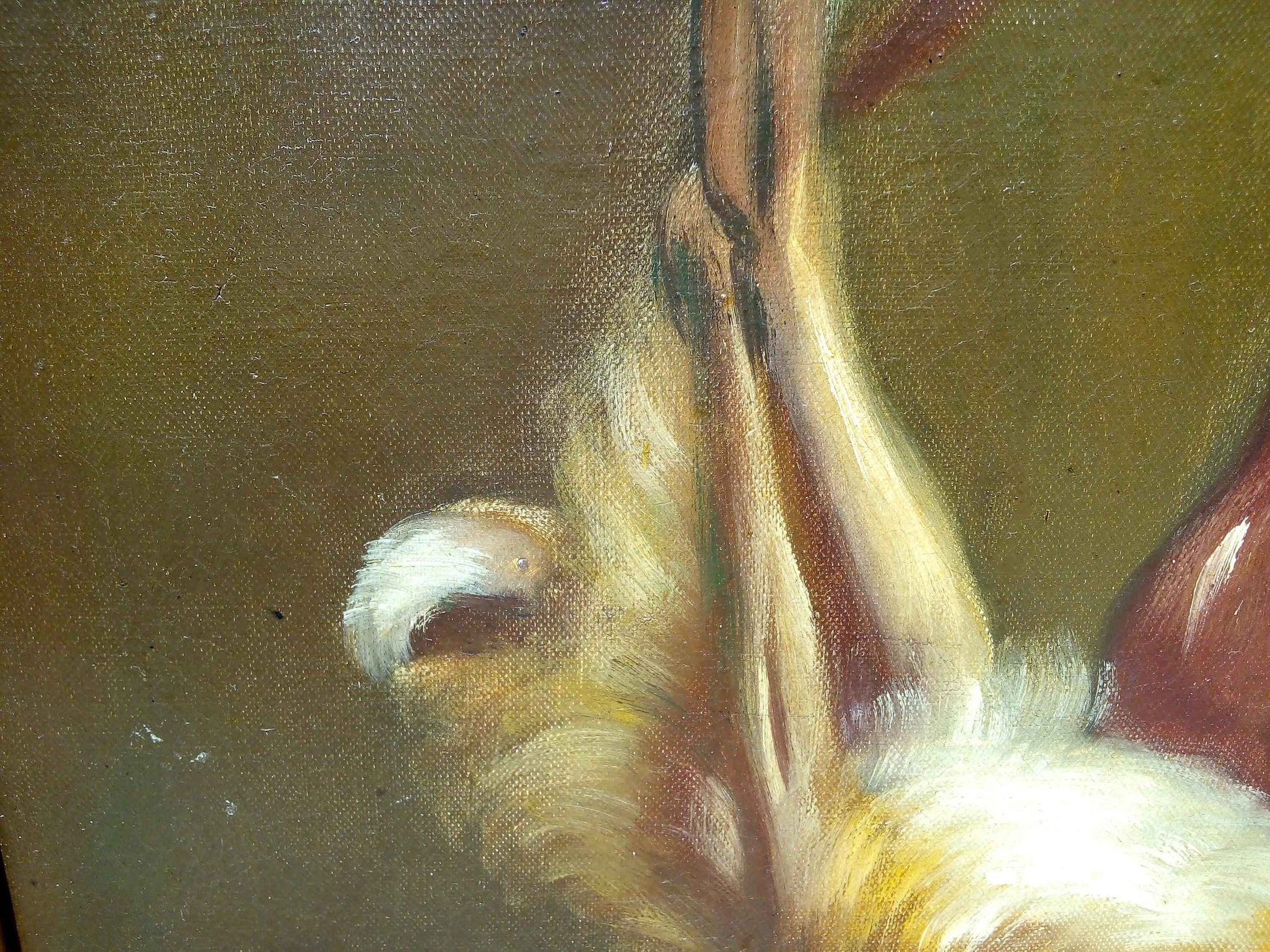 Peinture à l'huile 19ème siècle lapin avec toile signée PIRRELLI et cadre doré élégant